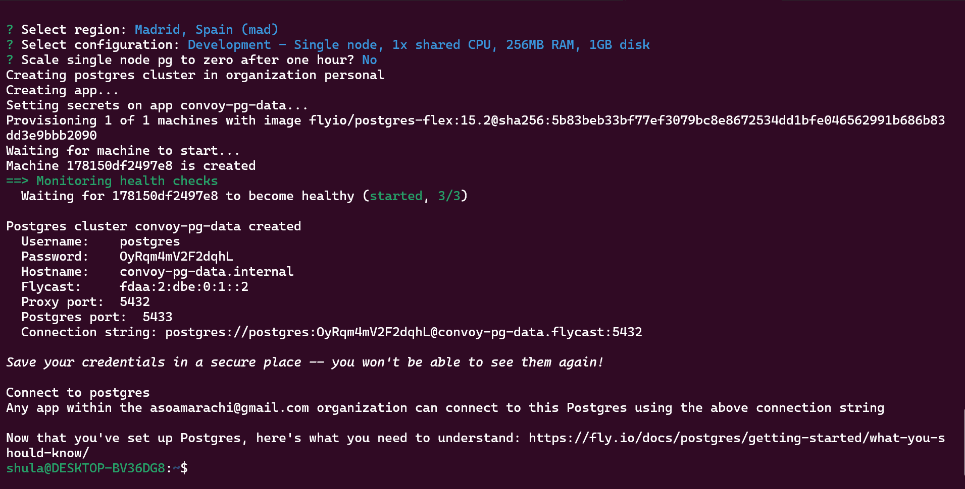 output from creating a fly postgres instance